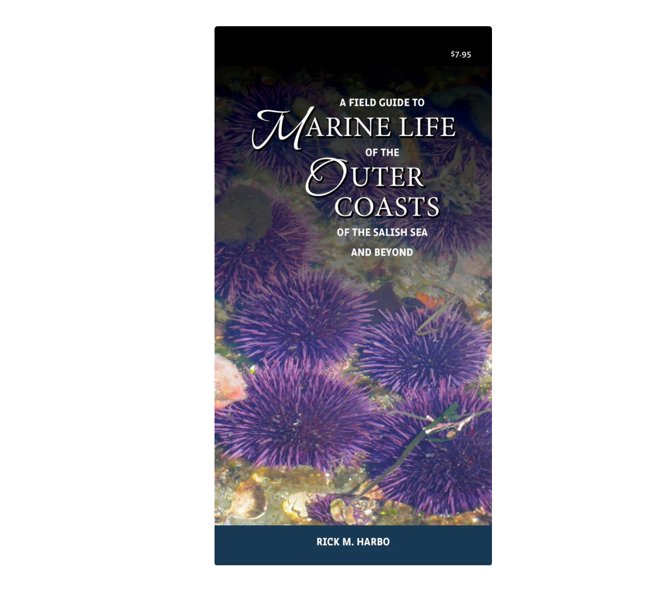 Marine Life of the outer coast of the salish sea