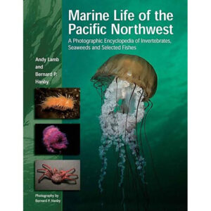Marine Life of the Pacific Northwest Spearfishing Canada